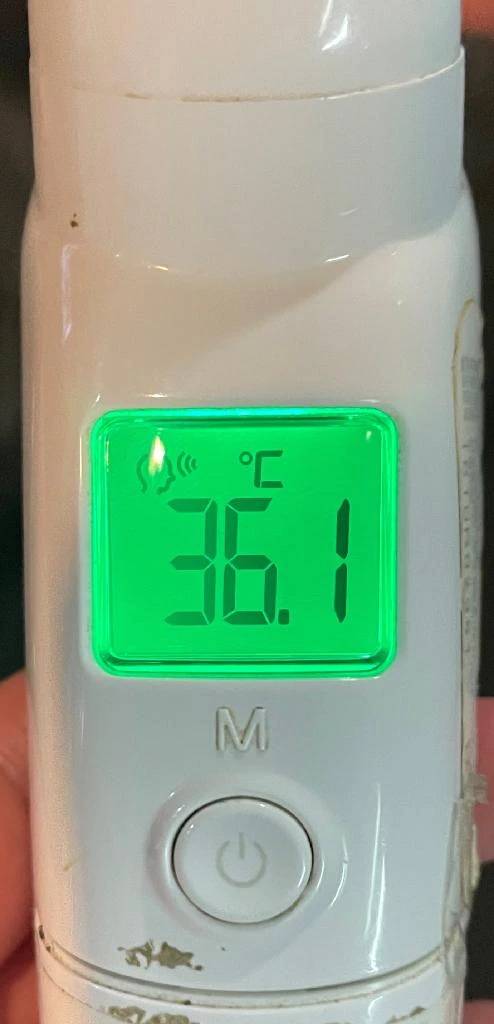 今日の体温...｡