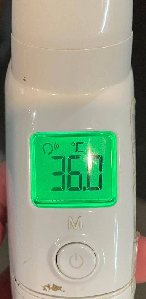 今日の体温...｡