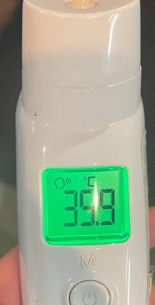 今日の体温...｡