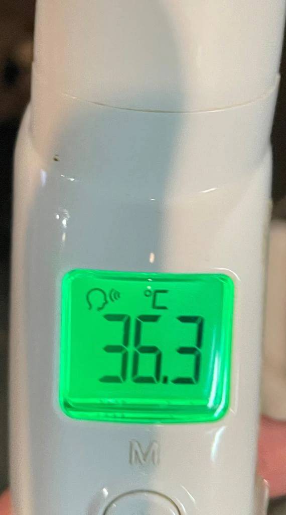 今日の体温...｡