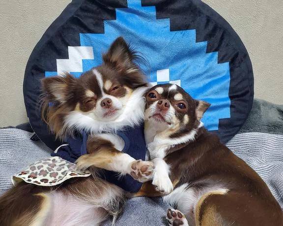 ☆今日のお題①☆