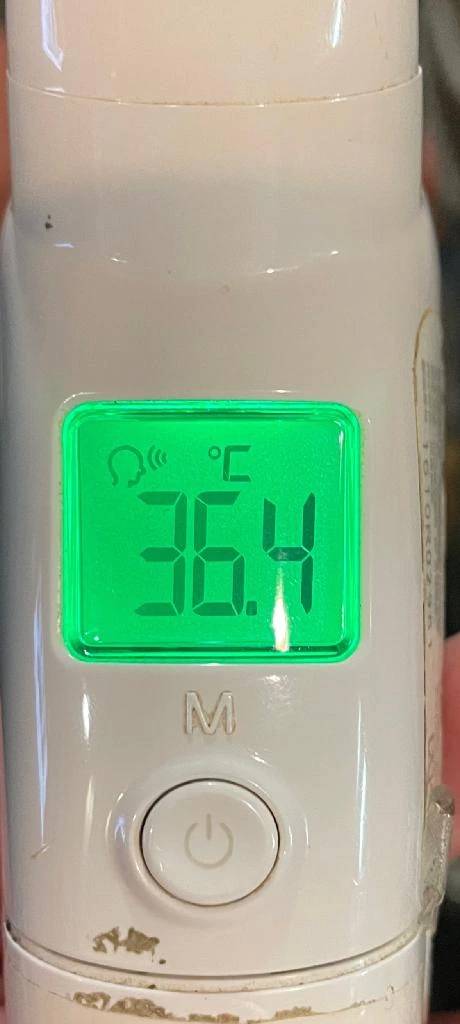 今日の体温...｡