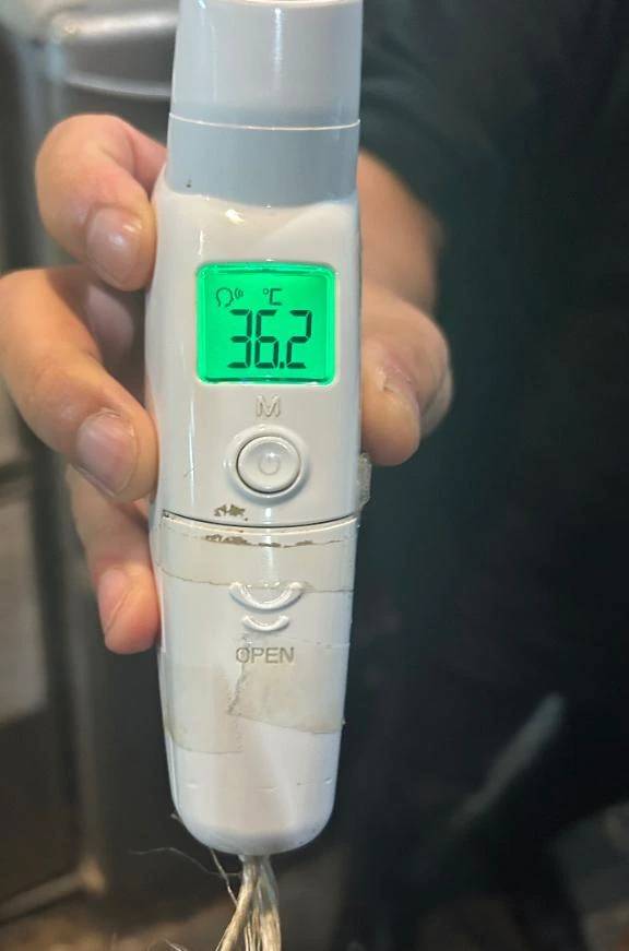 出勤しました🐰