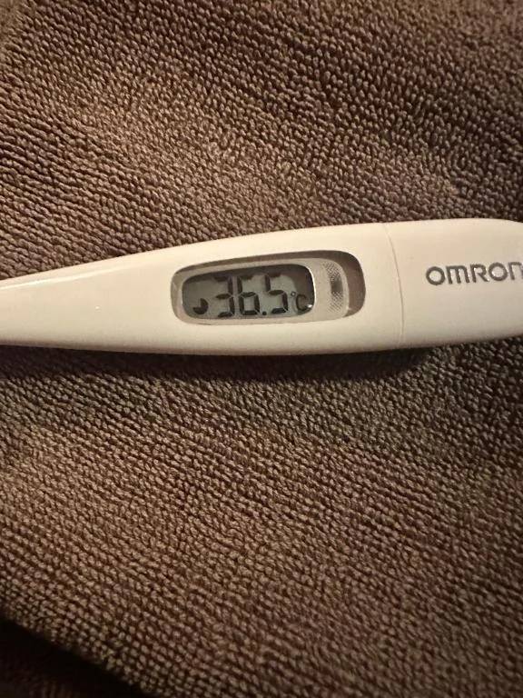 本日の体温❣️