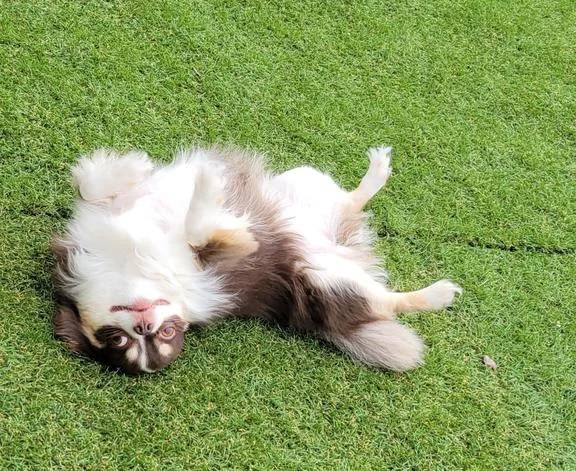 ☆今日のお題②☆