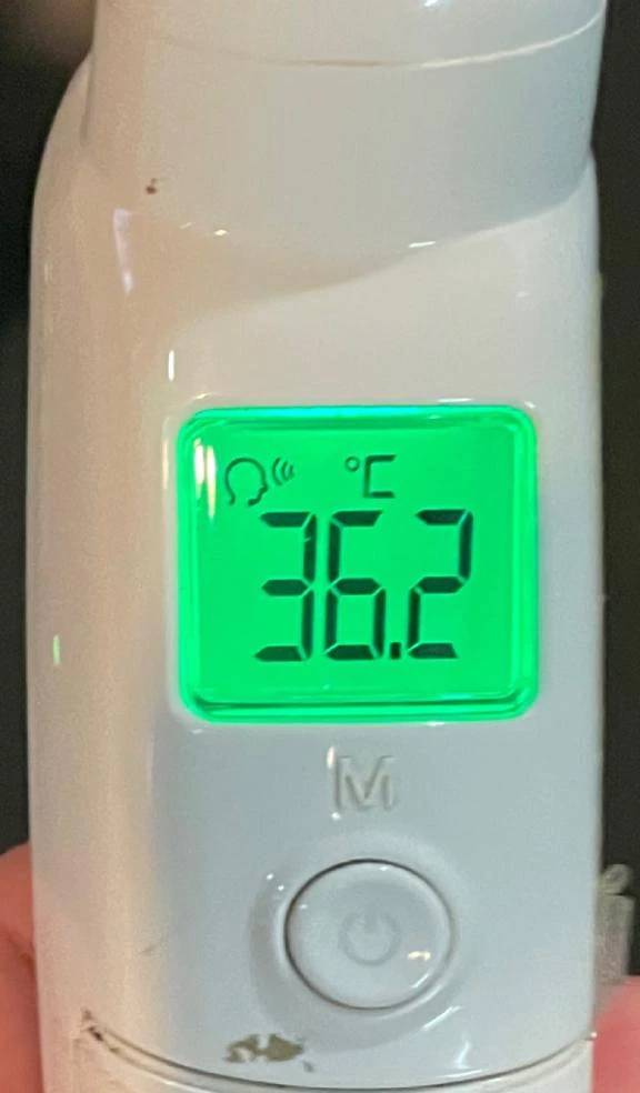 今日の体温...｡