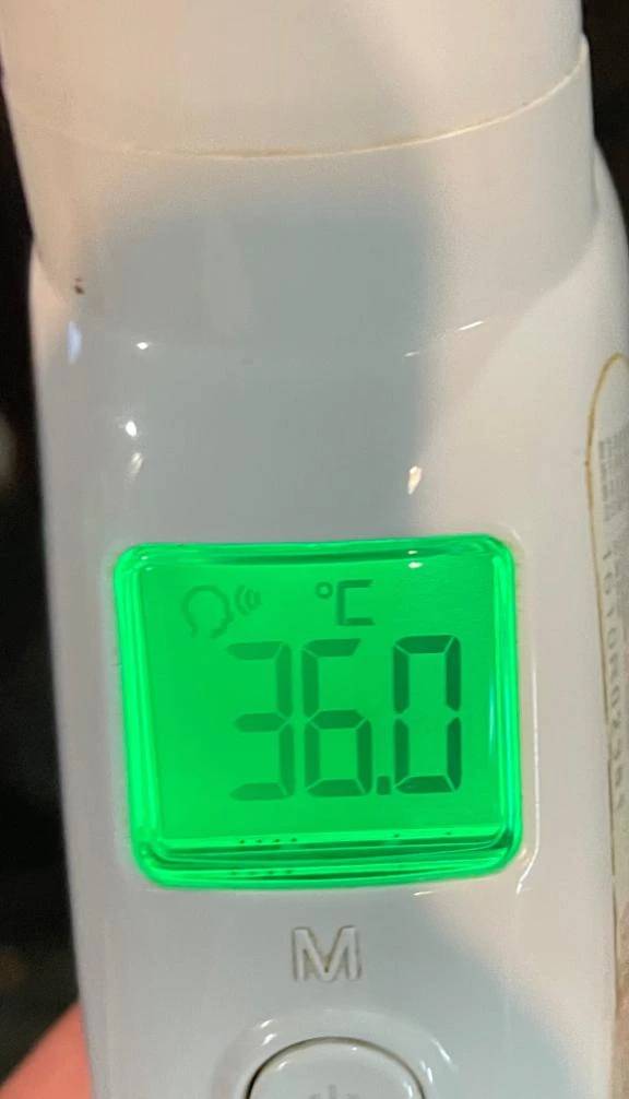 今日の体温...｡