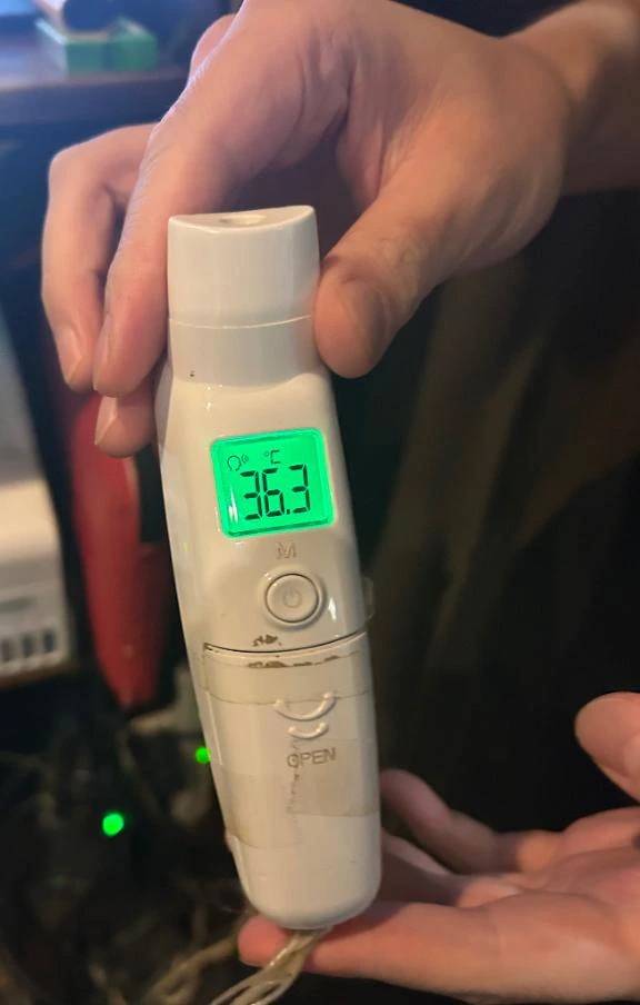 出勤しました🐰