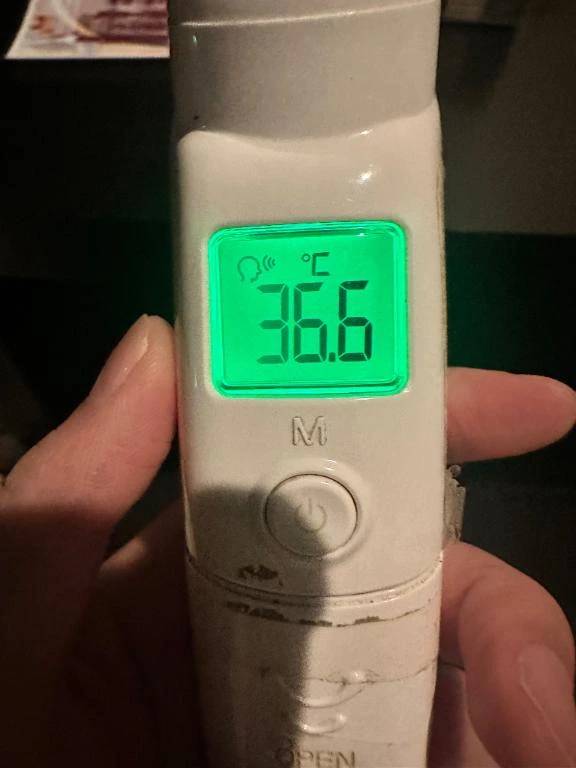 本日の体温❣️