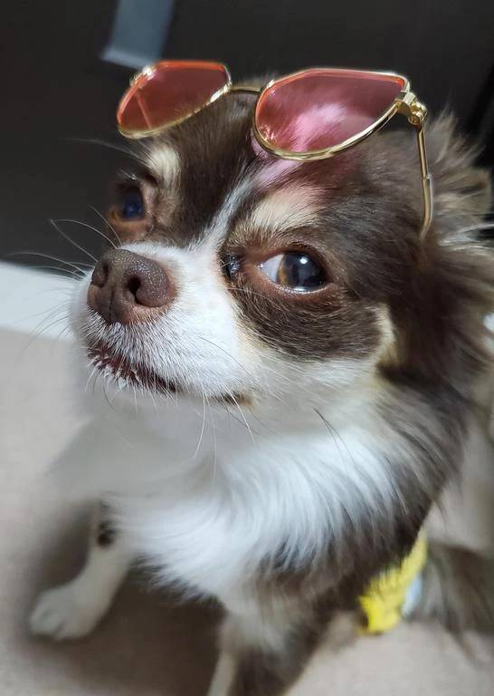 ☆今日のお題③☆