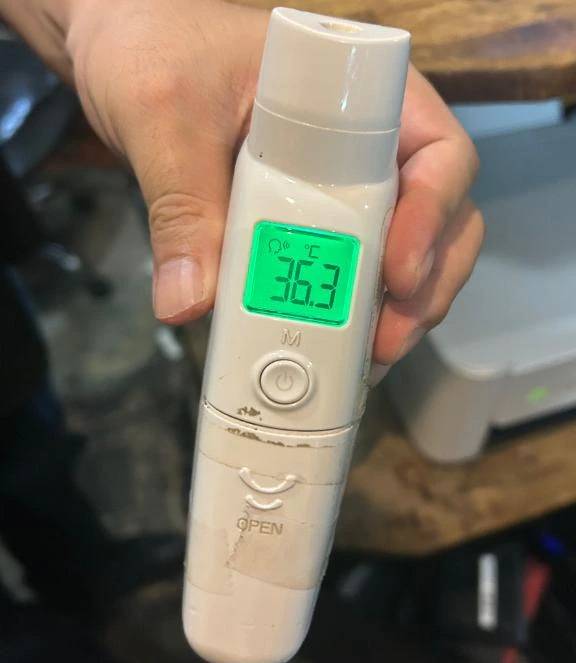 出勤しました🐰