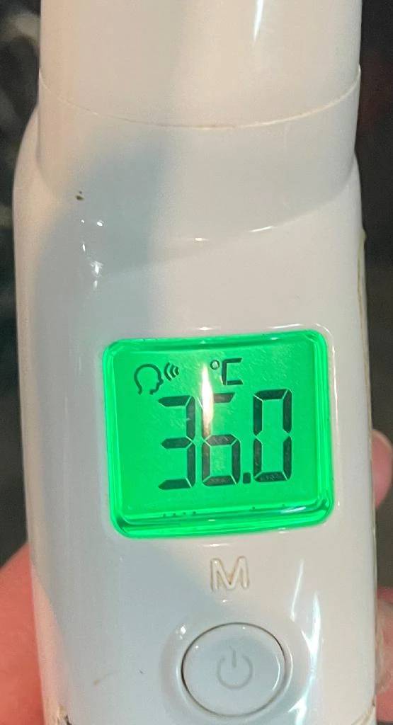 今日の体温...｡