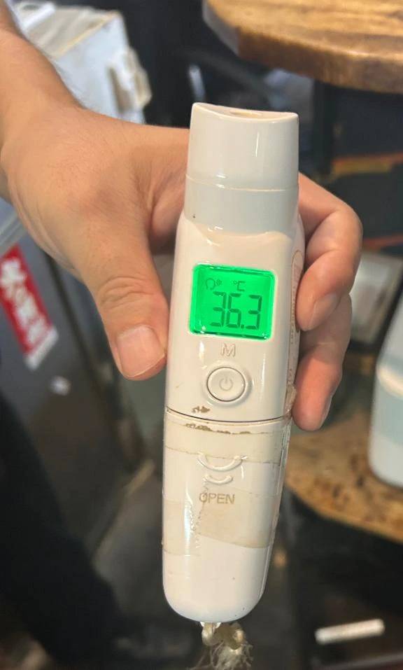 出勤しました🐰