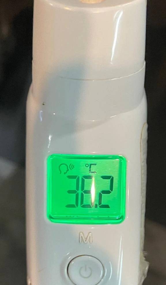 今日の体温...｡