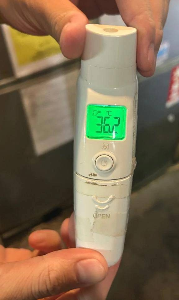 出勤しました🐰