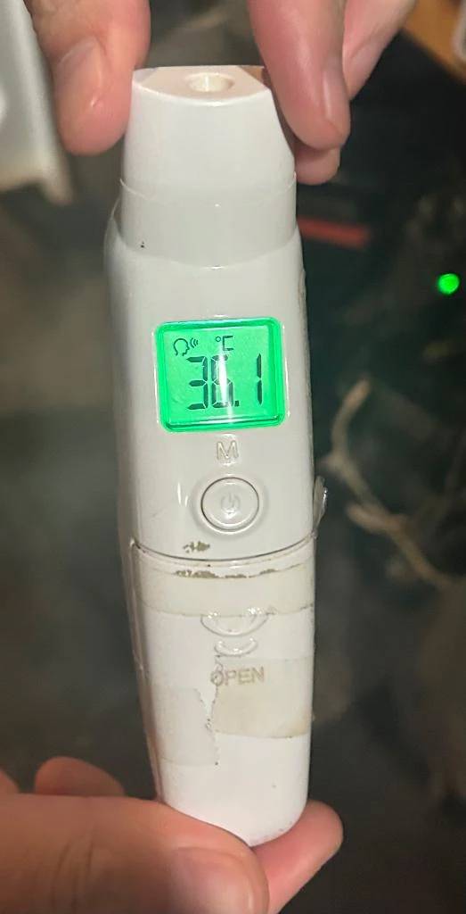 出勤しました🐰