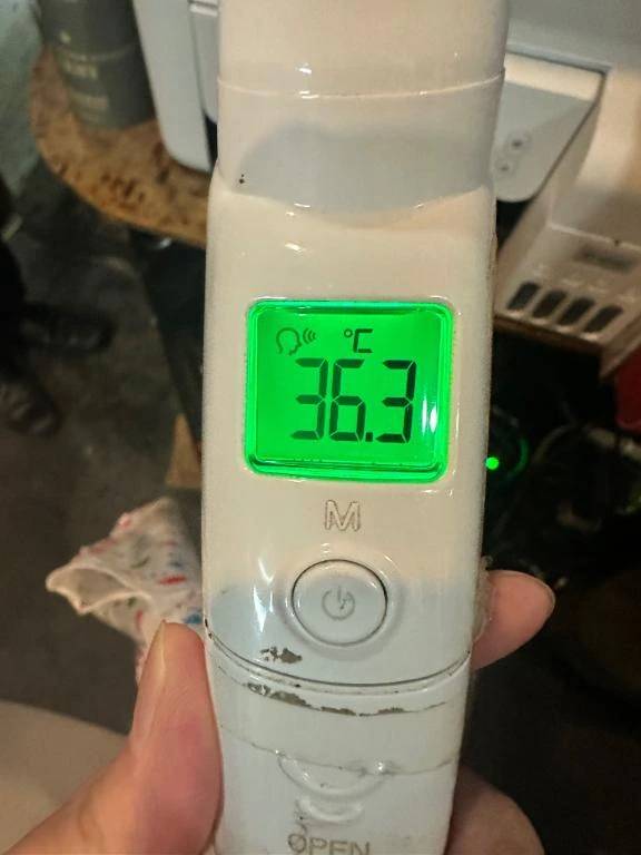 本日の体温❣️