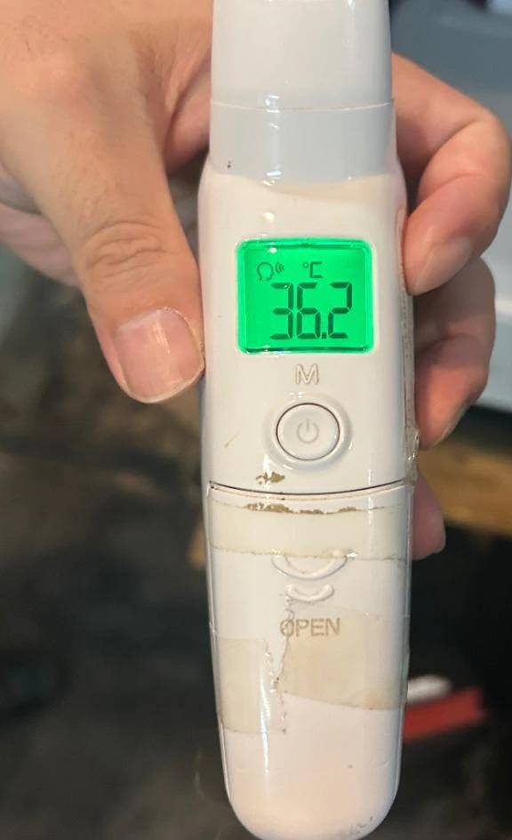 出勤しました🐰