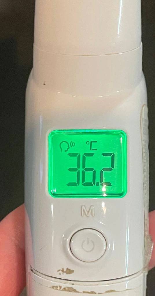 今日の体温...｡