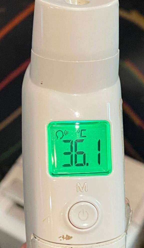 今日の体温...｡