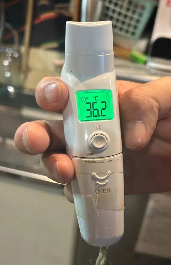 出勤しました🐰