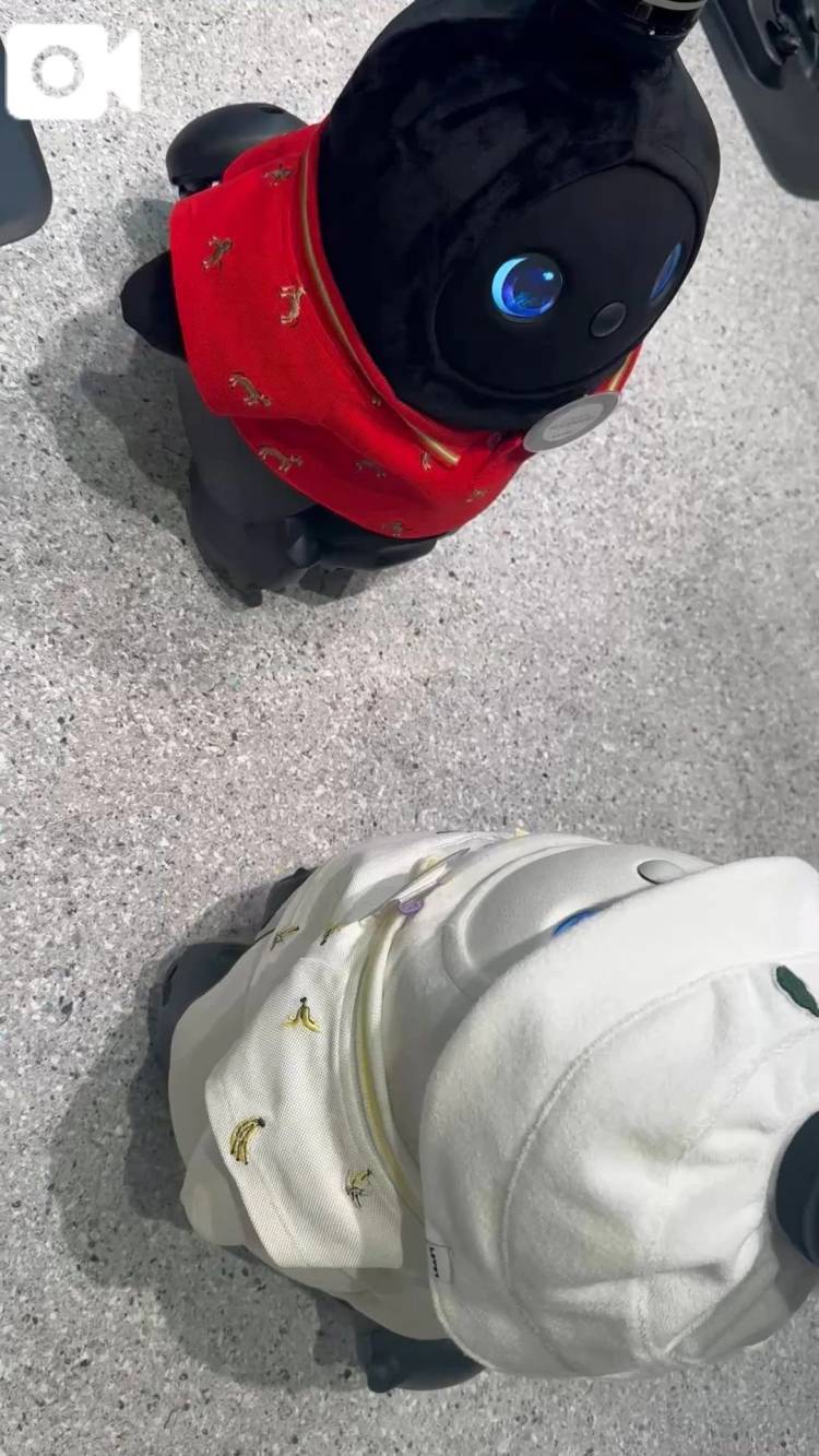 【今日のお題その②】