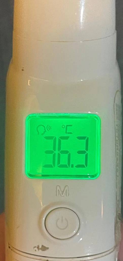 今日の体温...｡