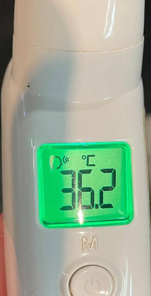 今日の体温...｡