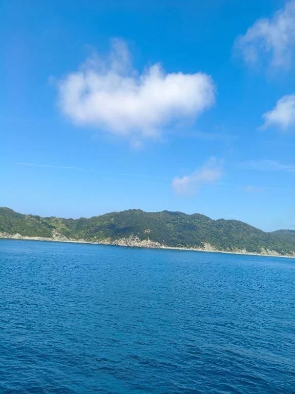 おはようございます😁