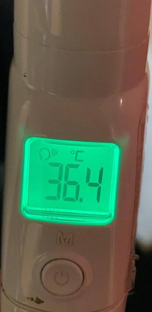 今日の体温...｡