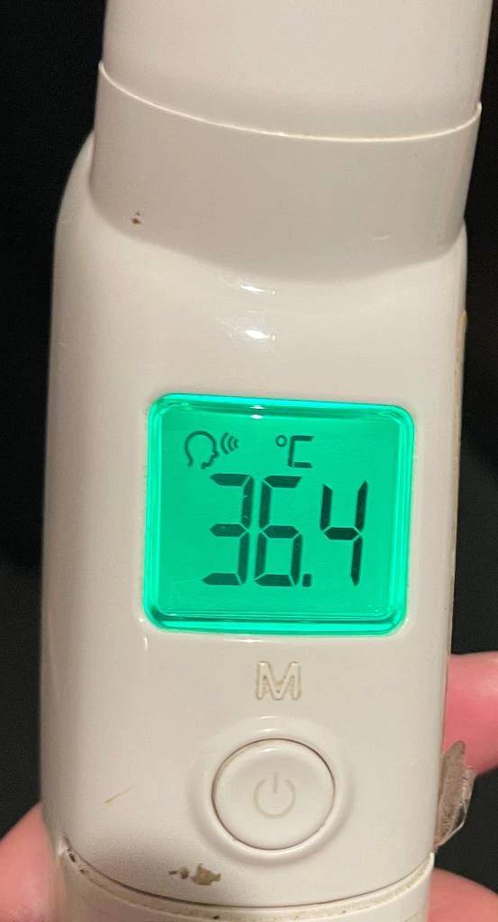 今日の体温...｡