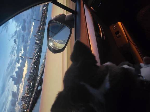 みゆき【おもてなし１２０％美女】