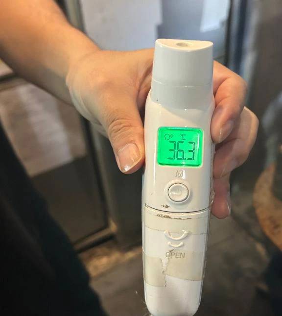 出勤しました🐰