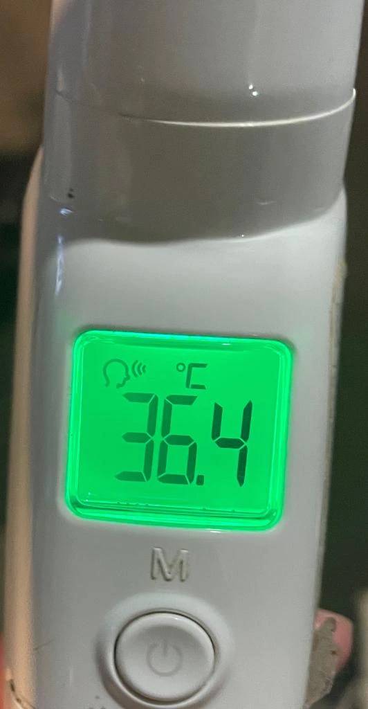 今日の体温...｡