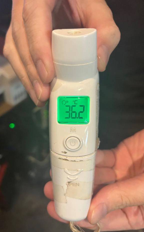 出勤しました🐰