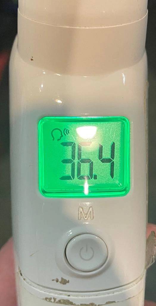 今日の体温...｡