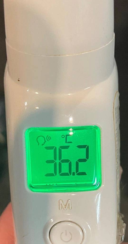 今日の体温...｡