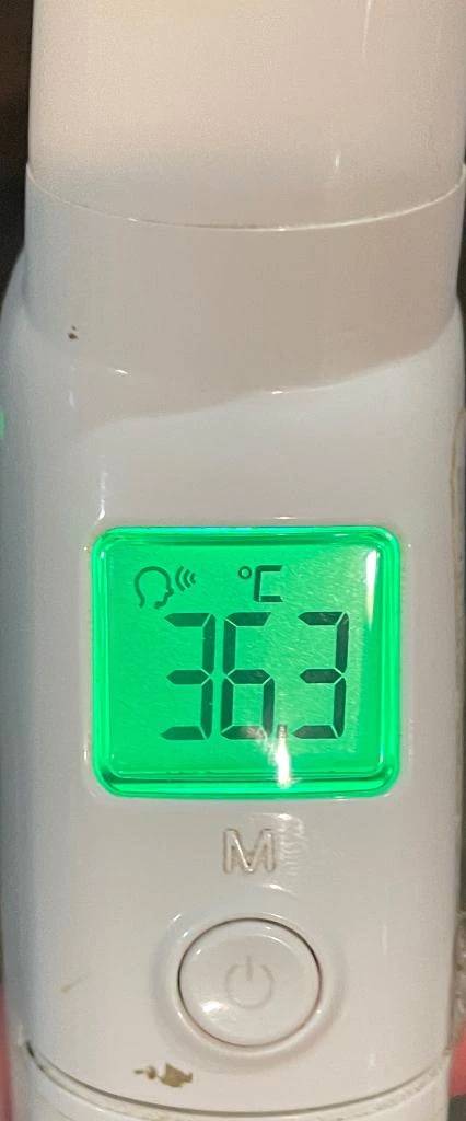 今日の体温...｡