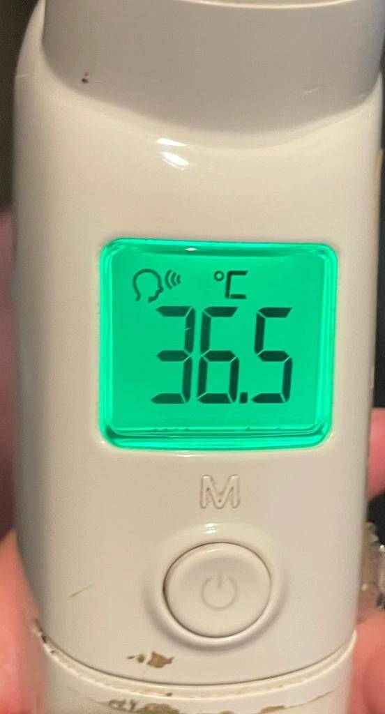 今日の体温...｡