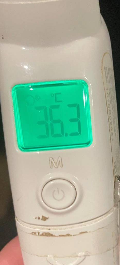 今日の体温...｡