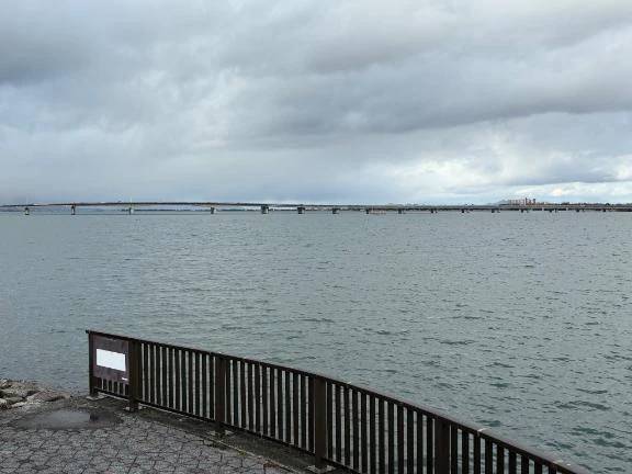 『お題』・自分らしく生きるためにはどうすれば良い？？