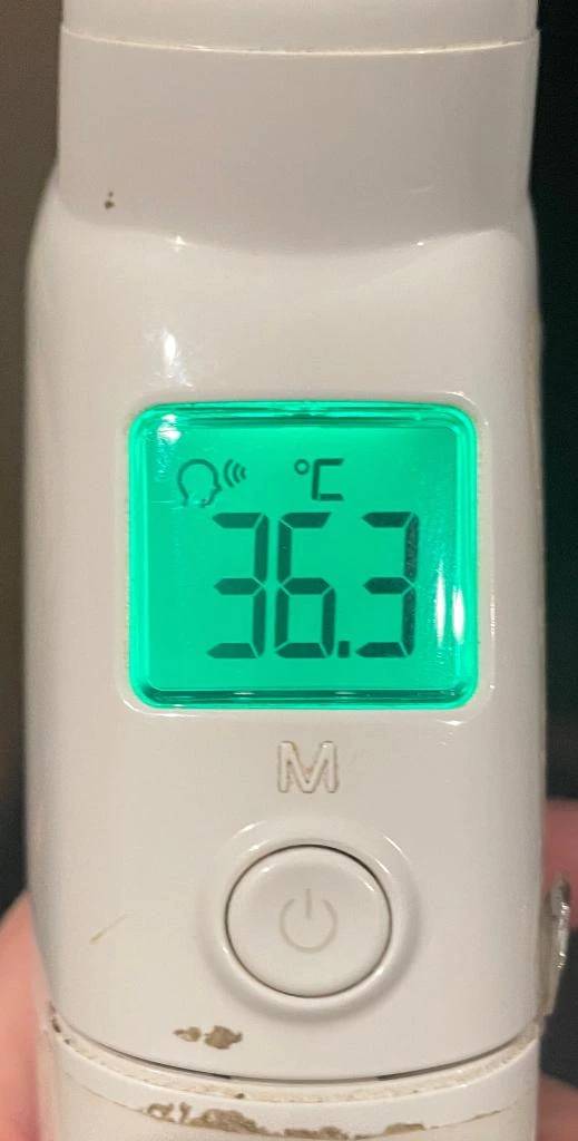 今日の体温...｡