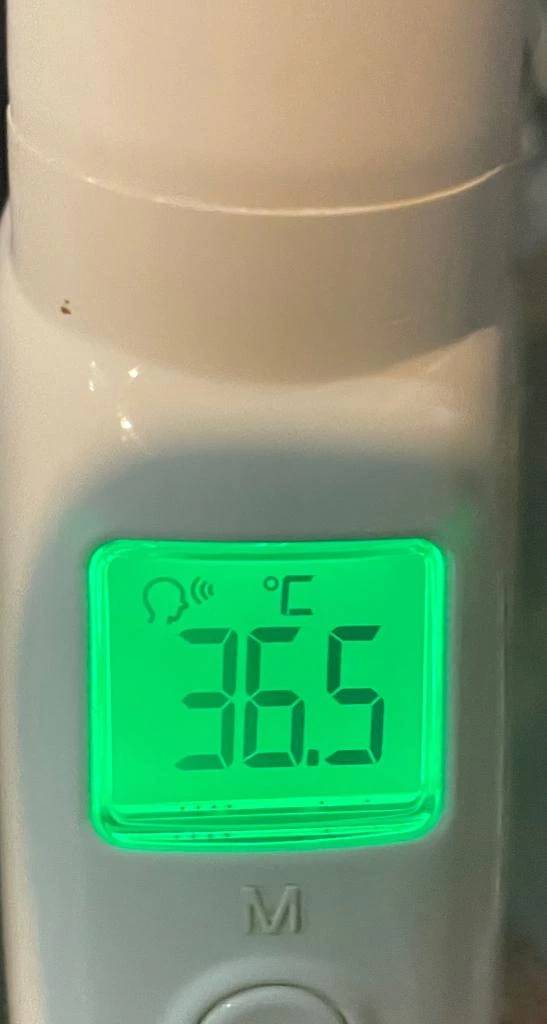 今日の体温...｡