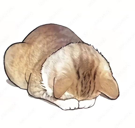 ごめんなさい🥲‎