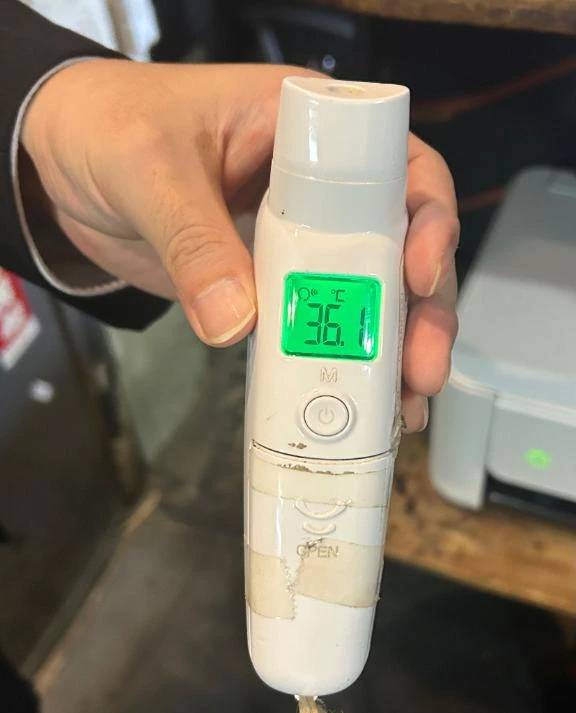 出勤しました🐰