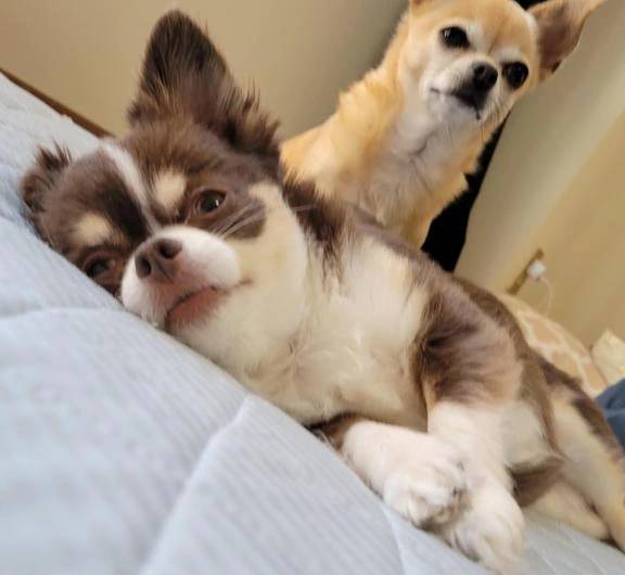 みゆき【おもてなし１２０％美女】