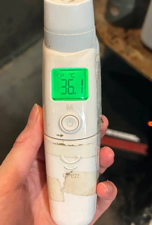 出勤しました🐰