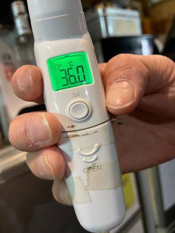 朝の健康観察💜