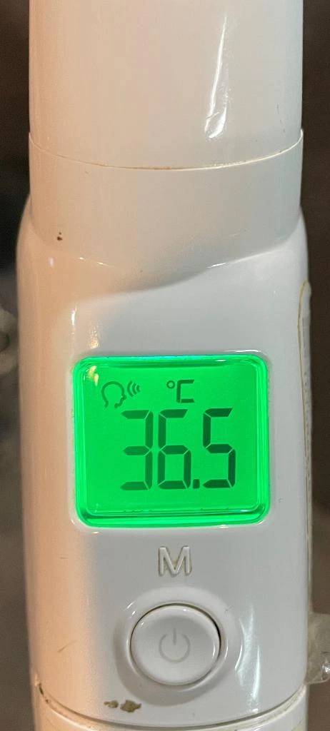 今日の体温...｡