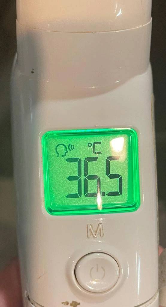 今日の体温...｡